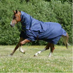 Bucas Irish Turnout Medium 150g Decke Marine / Gold Blau Bucas Irish Turnout Medium 150g Decke Marine / Gold Blau