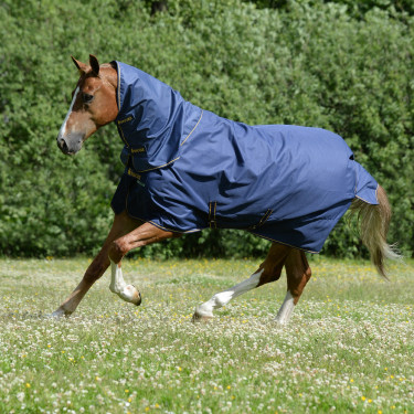 Bucas Irish Turnout Medium 150g Decke Marine / Gold Blau Bucas Irish Turnout Medium 150g Decke Marine / Gold Blau