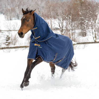 Bucas Irish Turnout Medium 150g Decke Marine / Gold Blau Bucas Irish Turnout Medium 150g Decke Marine / Gold Blau