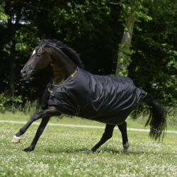 Bucas Irish Turnout Medium 150g Decke Bucas Irish Turnout Medium 150g Decke