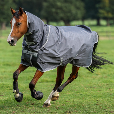 Halsdecke Bucas Smartex Combi Neck 300g Eisentor Grau Halsdecke Bucas Smartex Combi Neck 300g Eisentor Grau