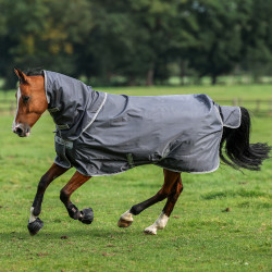 Halsdecke Bucas Smartex Combi Neck 300g Eisentor Grau Halsdecke Bucas Smartex Combi Neck 300g Eisentor Grau