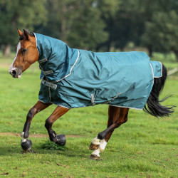 Halsdecke Bucas Atlantic Combi Neck 300g Grün Grün Halsdecke Bucas Atlantic Combi Neck 300g Grün Grün