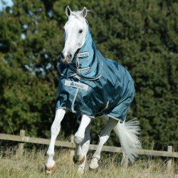 Halsdecke Bucas Atlantic Combi Neck 300g Grün Grün Halsdecke Bucas Atlantic Combi Neck 300g Grün Grün