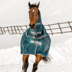 Halsdecke Bucas Atlantic Combi Neck 300g Grün Grün Halsdecke Bucas Atlantic Combi Neck 300g Grün Grün