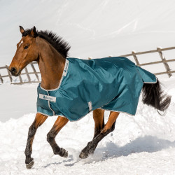 Bucas Atlantic Turnout-Decke 50g Grün Grün Bucas Atlantic Turnout-Decke 50g Grün Grün