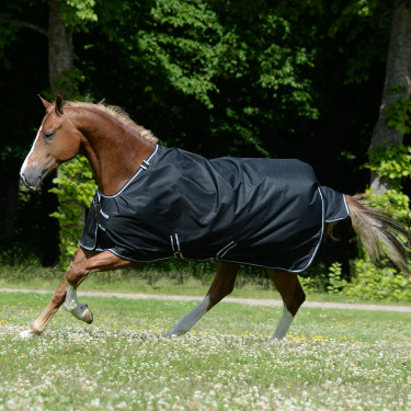 Bucas Trot Turnout 50g deken Schwarz / Weiß Bucas Trot Turnout 50g deken Schwarz / Weiß