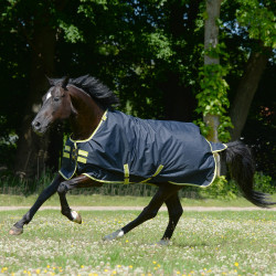 Bucas Oasis Turnout 200g Decke mit Halsteil Dunkelgrau / Limette Bucas Oasis Turnout 200g Decke mit Halsteil Dunkelgrau / Limette