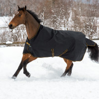 Bucas Irish Turnout Light 50g Decke mit Halsteil Schwarz / Gold Bucas Irish Turnout Light 50g Decke mit Halsteil Schwarz / Gold