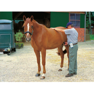 Fohlengeburtsdetektor HK