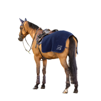 LeMieux Clima-Tek Nierendecke Marineblau LeMieux Clima-Tek Nierendecke Marineblau