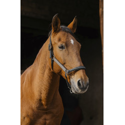 Nylonhalfter Equithème Domino