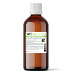 Mazerat aus Feigenbaumknospen ESC Laboratoire Mazerat aus Feigenbaumknospen ESC Laboratoire
