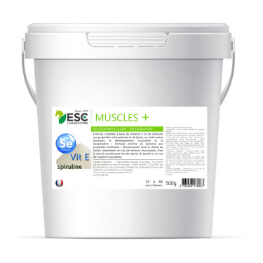 Muscle+ ESC Laboratoire Muscle+ ESC Laboratoire