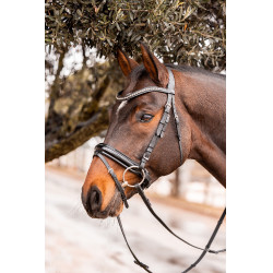 Voorhoofdsriem Wicklow Horze Voorhoofdsriem Wicklow Horze