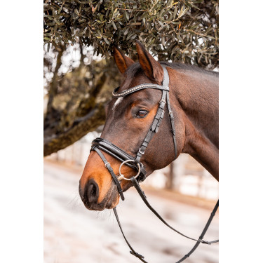 Voorhoofdsriem Wicklow Horze Voorhoofdsriem Wicklow Horze