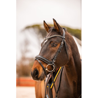 Voorhoofdsriem Wicklow Horze Voorhoofdsriem Wicklow Horze