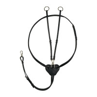 Martingale Winchmore Horze Noir