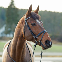 Bridon Horze Weston Schwarz Bridon Horze Weston Schwarz