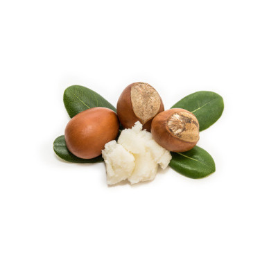 Sheabutter ESC Laboratoire Sheabutter ESC Laboratoire