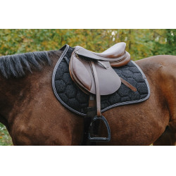 Satteldecke Equithème Quadri