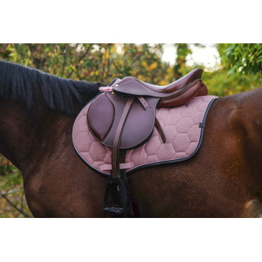 Satteldecke Equithème Quadri Satteldecke Equithème Quadri