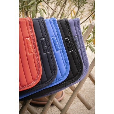 Vertikale Teppiche Paddock Sports Vertikale Teppiche Paddock Sports