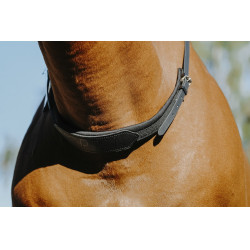 Reitriemen für das Reiten ohne Sattel Norton Reitriemen für das Reiten ohne Sattel Norton