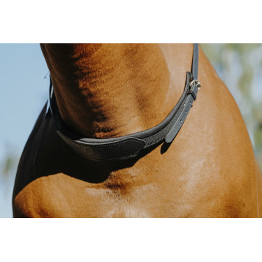 Reitriemen für das Reiten ohne Sattel Norton Reitriemen für das Reiten ohne Sattel Norton