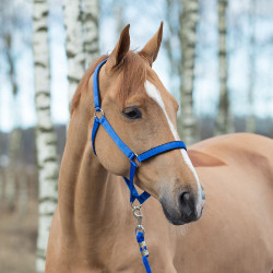 Halfter Horze Supreme mit Futter Halfter Horze Supreme mit Futter