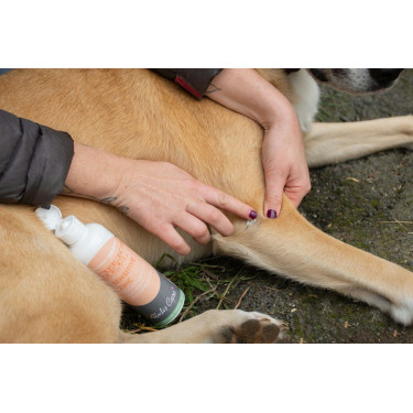 Sensitives Zinkgel Alodis Care Sensitives Zinkgel Alodis Care