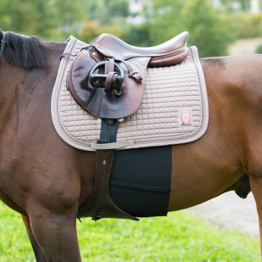 Horze Respektband – Bauchschutz fürs Pferd, Reitsport