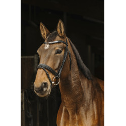 Trensenzaum Norton Pro Galon