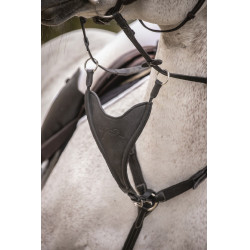 Martingalschieber Pénélope Bip Plain Elastisch Schwarz