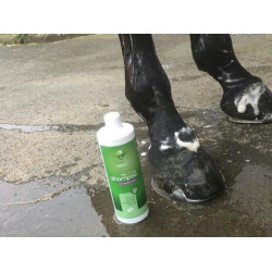 Shampooing Animaderm Tea Tree Shampooing Animaderm Tea Tree