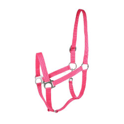 Halfter Basic Horze