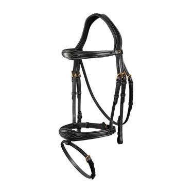 Kombinierter anatomischer Reithalfter-Zaum Dy'on D Collection Schwarz