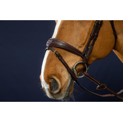 Kombinierter anatomischer Reithalfter-Zaum Dy'on D Collection Braun
