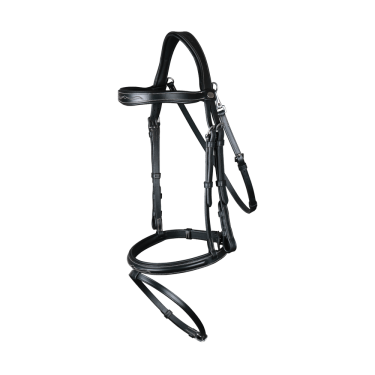Kombiniertes Reithalfter mit Karabiner Dy'on Working Kombiniertes Reithalfter mit Karabiner Dy'on Working