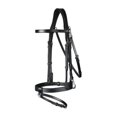 Plattes Lederzaumzeug mit Karabinern Working by Dy'on Schwarz