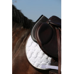 Anatomisches Stoßdämpfer-Pad Absorb Kentucky Anatomisches Stoßdämpfer-Pad Absorb Kentucky