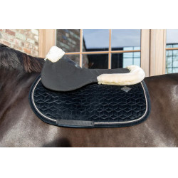 Stoßdämpfer Schaf Impact Equalizer Kentucky Stoßdämpfer Schaf Impact Equalizer Kentucky