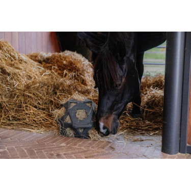 Spielball / Heuball Kentucky Grau