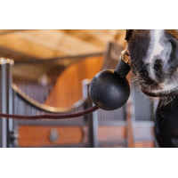 Schutzballenbefestigung Kentucky Schwarz Schutzballenbefestigung Kentucky Schwarz