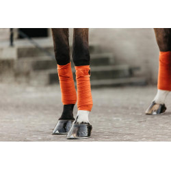 Bandes de polo Polar Fleece Velvet Kentucky Orange Bandes de polo Polar Fleece Velvet Kentucky Orange