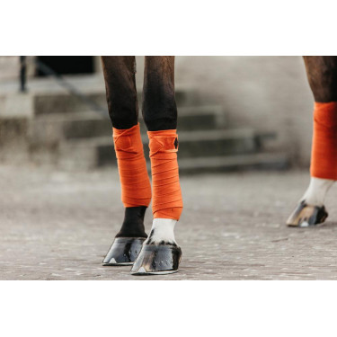 Bandes de polo Polar Fleece Velvet Kentucky Orange Bandes de polo Polar Fleece Velvet Kentucky Orange