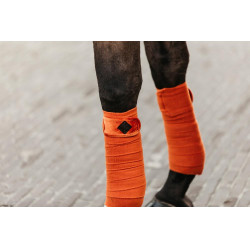 Bandes de polo Polar Fleece Velvet Kentucky Orange Bandes de polo Polar Fleece Velvet Kentucky Orange