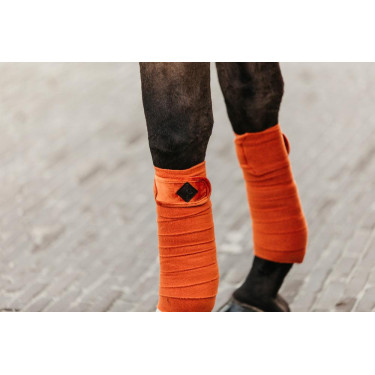 Bandes de polo Polar Fleece Velvet Kentucky Orange Bandes de polo Polar Fleece Velvet Kentucky Orange
