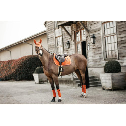 Bandes de polo Polar Fleece Velvet Kentucky Orange Bandes de polo Polar Fleece Velvet Kentucky Orange