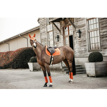 Bandes de polo Polar Fleece Velvet Kentucky Orange Bandes de polo Polar Fleece Velvet Kentucky Orange